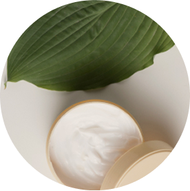Avias de bambú